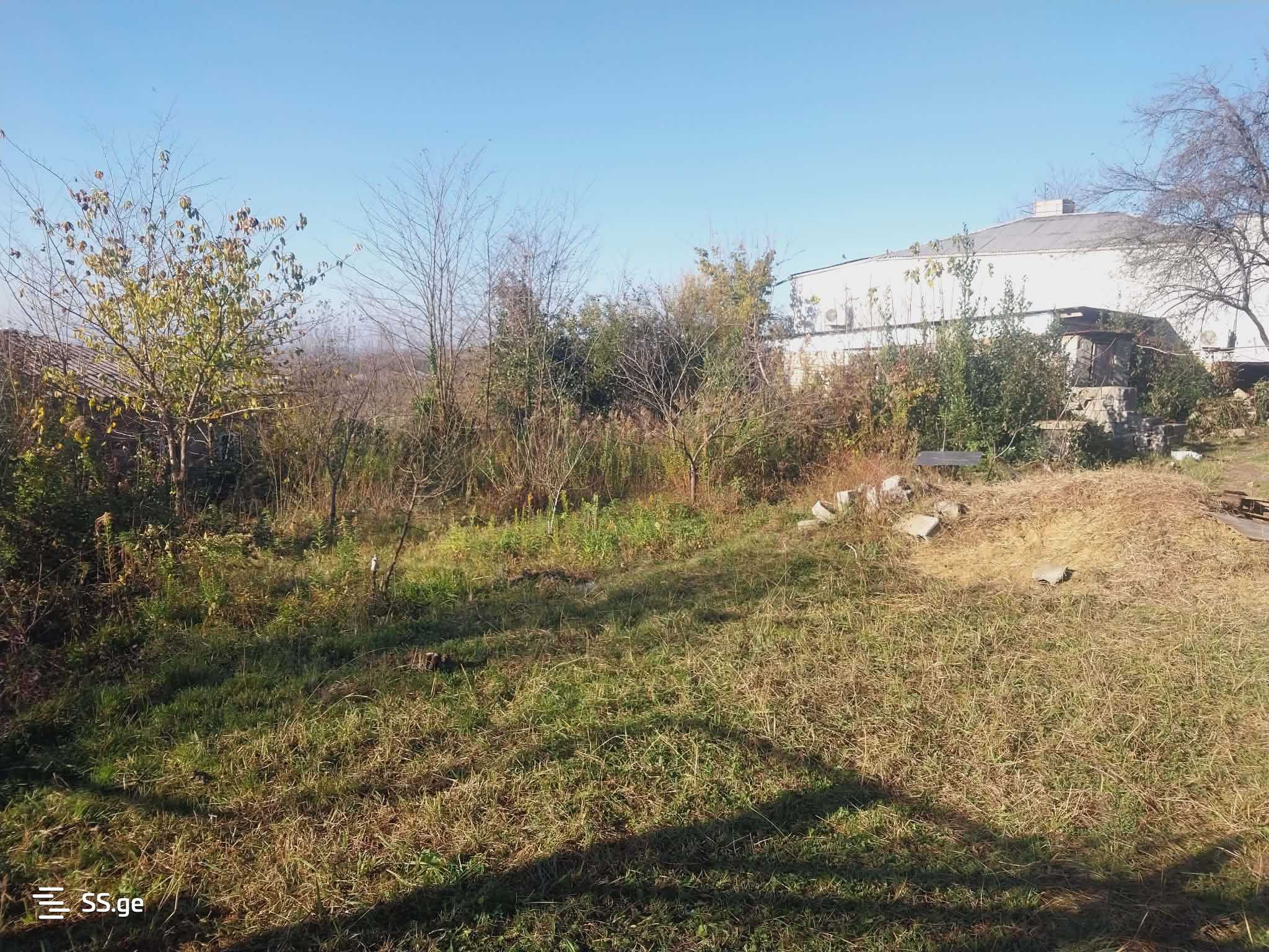 Land For Sale. Kutaisi view 7