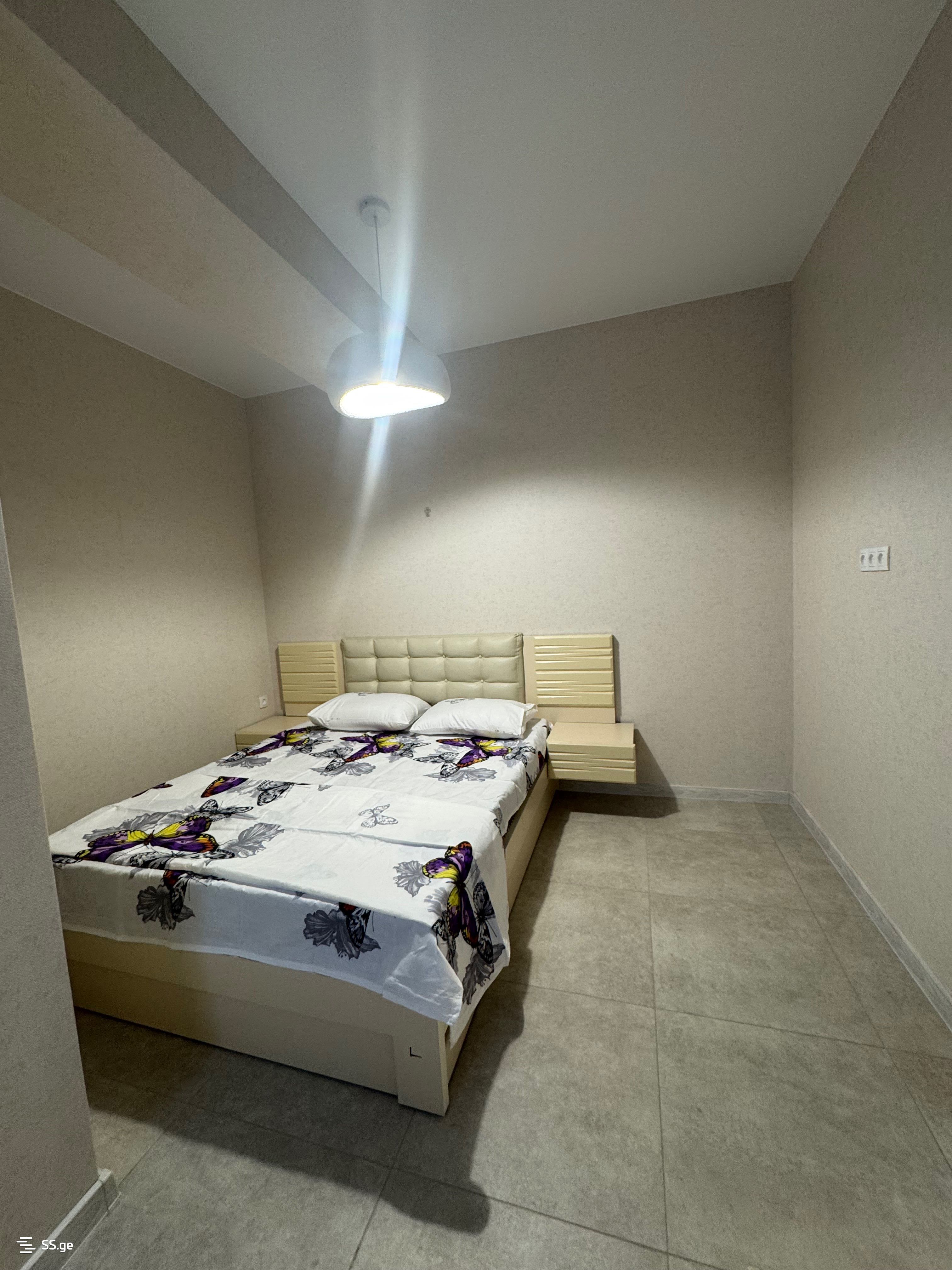 2 Room Flat Daily Rent. Rustavi view 10