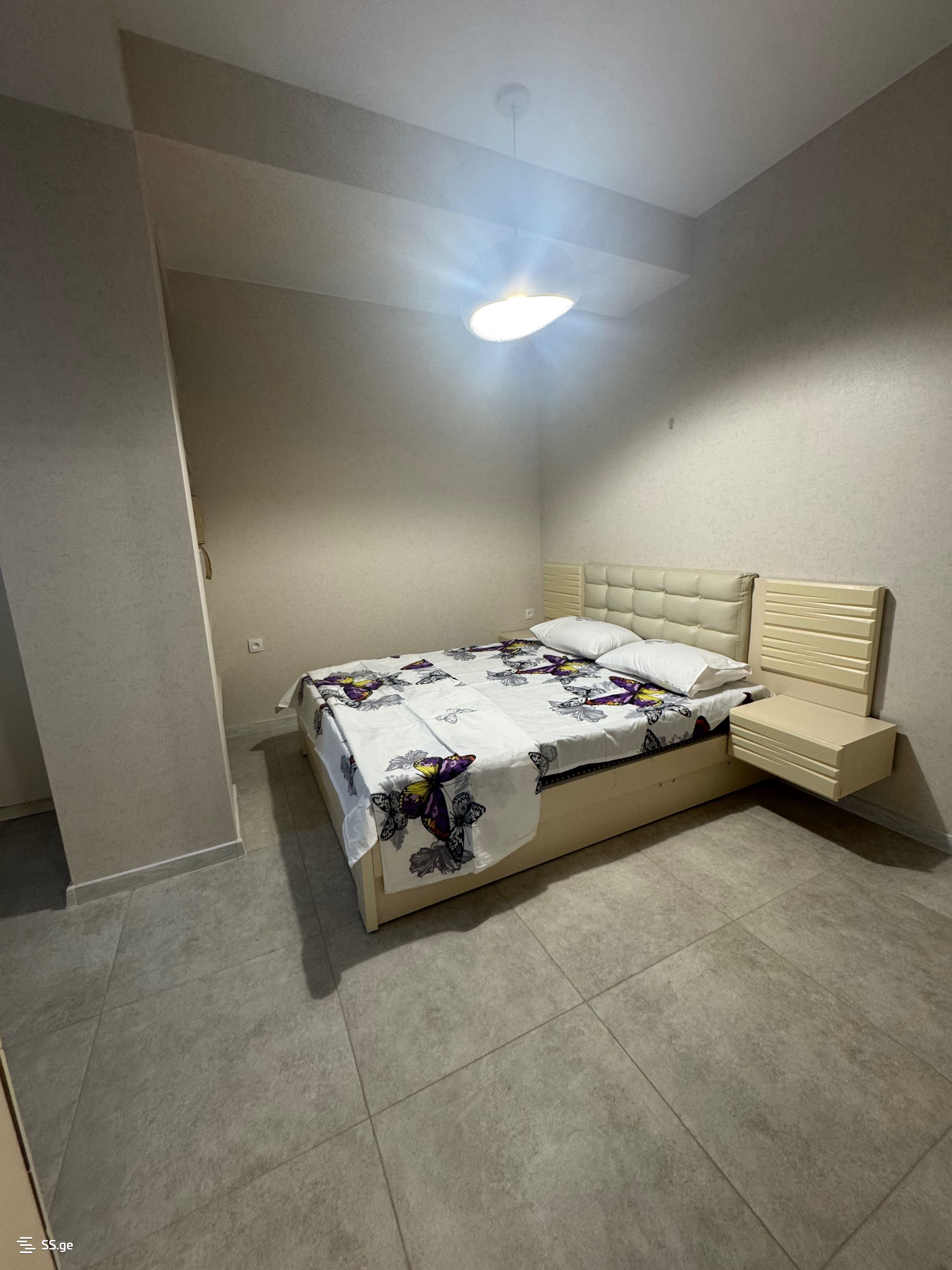 2 Room Flat Daily Rent. Rustavi view 9