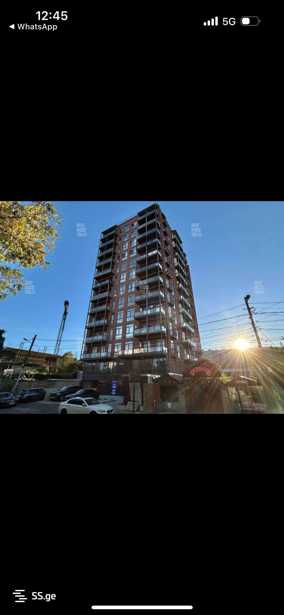 https://static.ss.ge/20251205/4_5e26d9b2-618c-4726-99ea-028e91209e70_Thumb.jpg