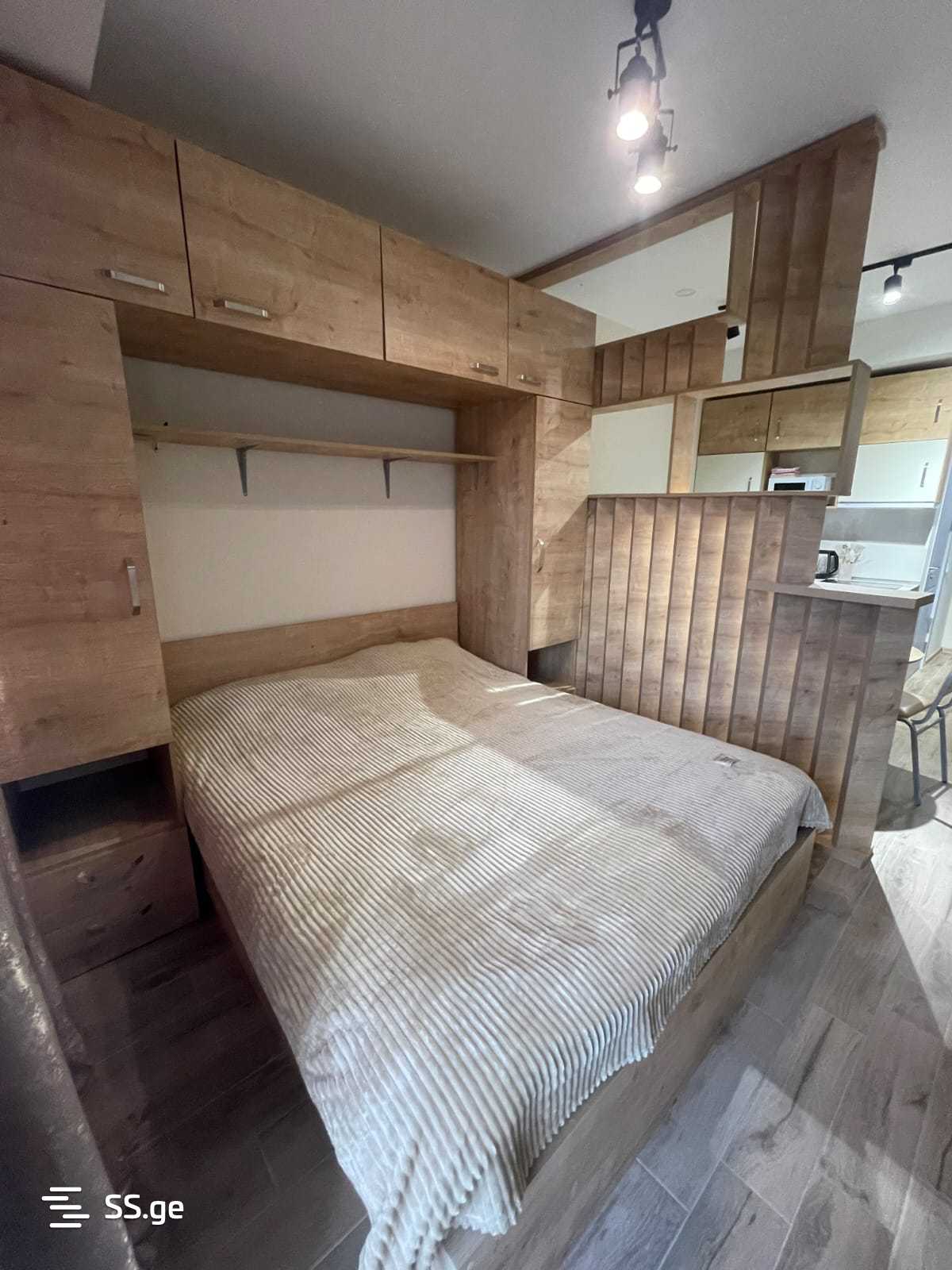 1 Room Flat Daily Rent. Bakuriani view 10