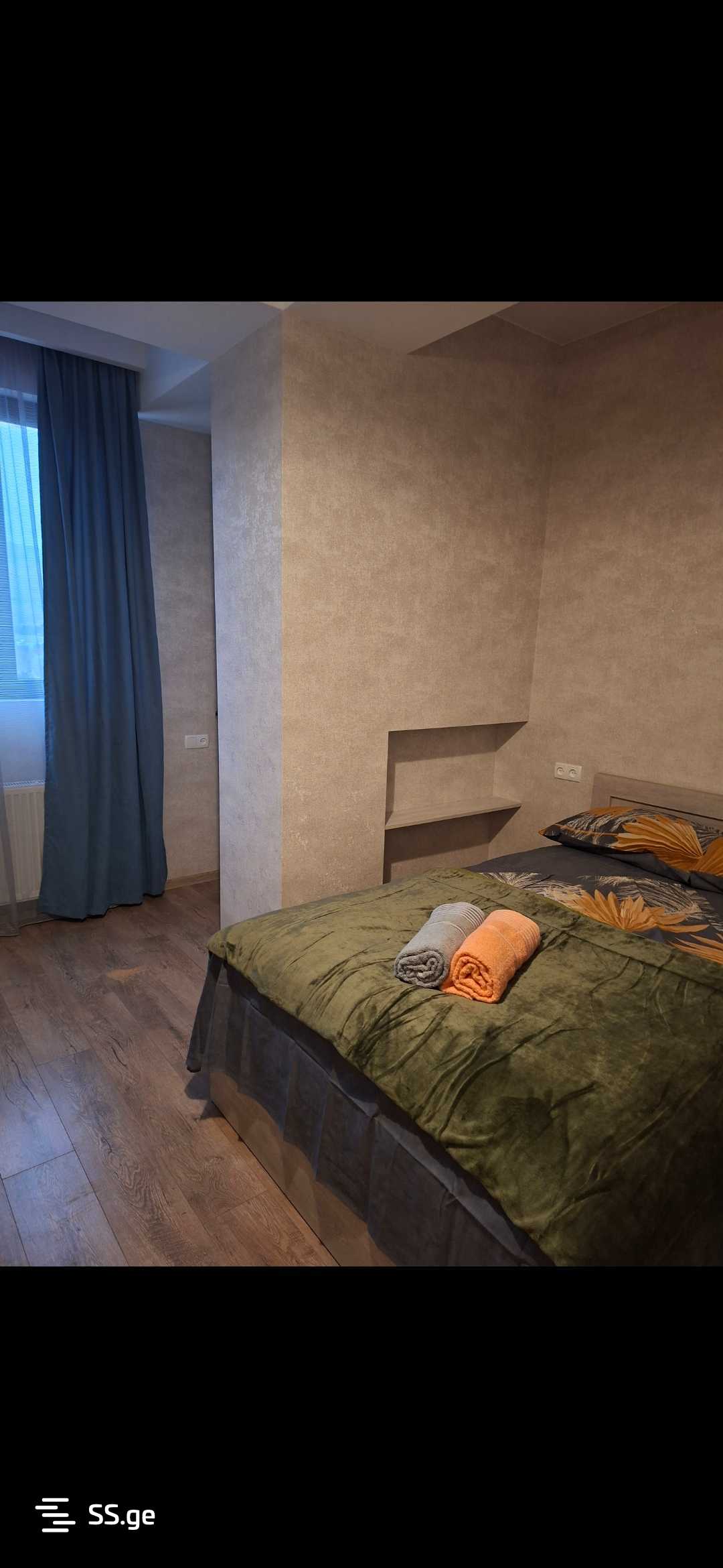 1 Room Flat Daily Rent. Rustavi view 4