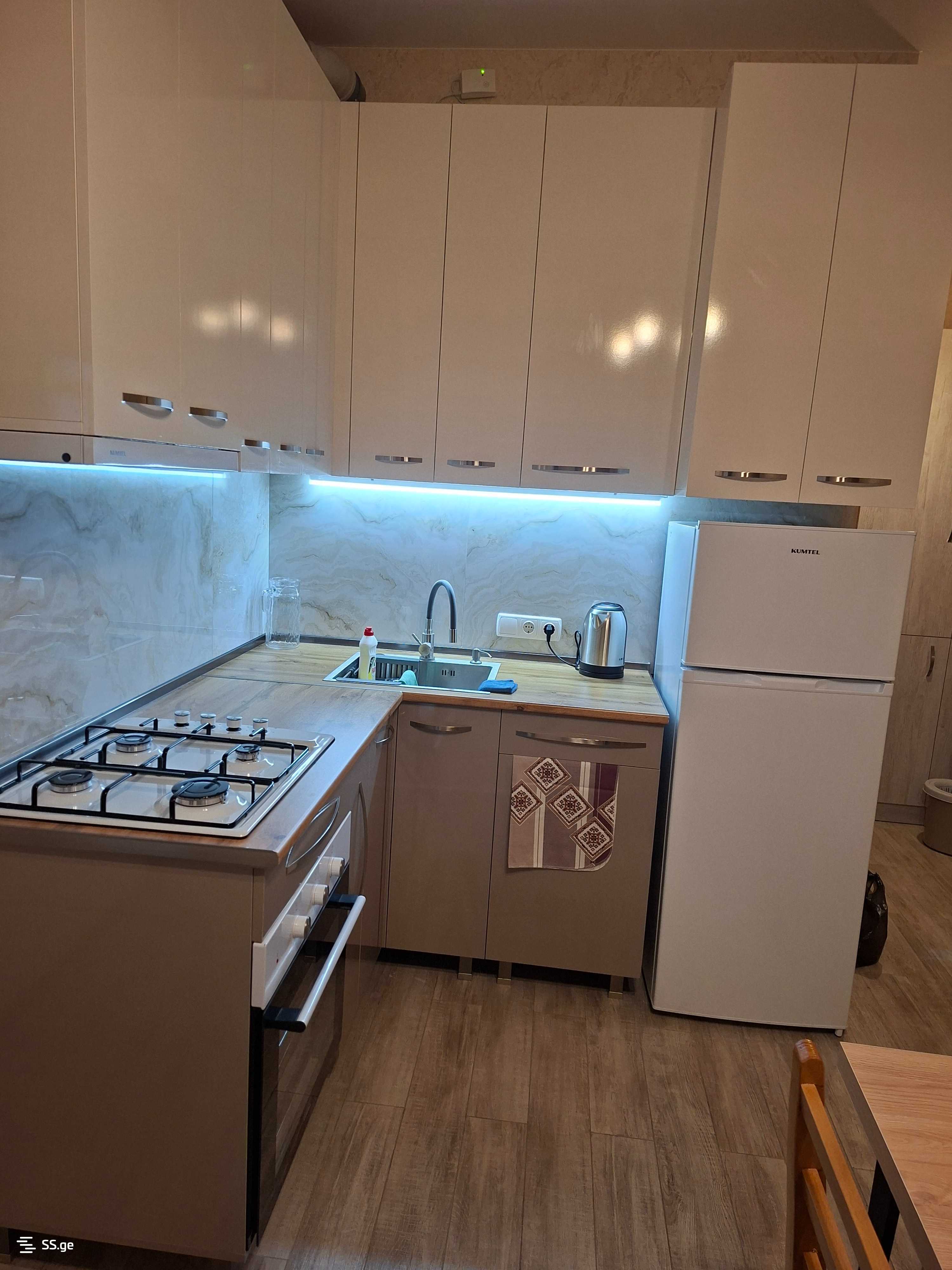 1 Room Flat Daily Rent. Rustavi view 5