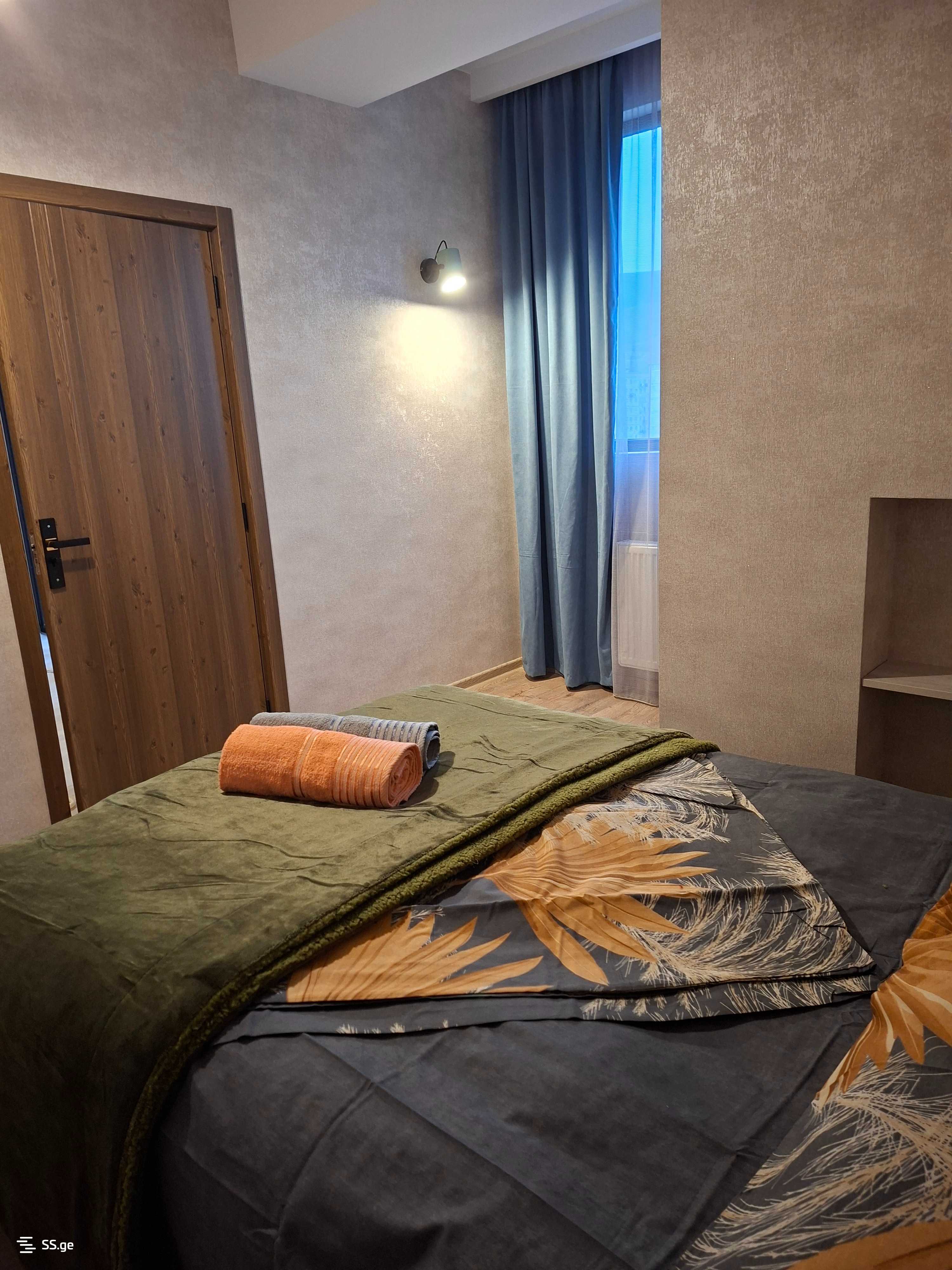1 Room Flat Daily Rent. Rustavi view 3
