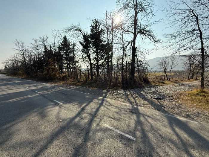 Land For Sale. Norio