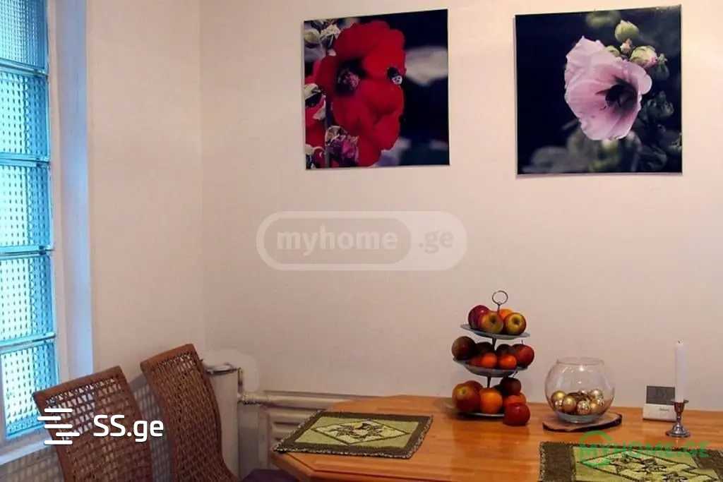 5 Room Private House For Rent. Mtskheta view 3