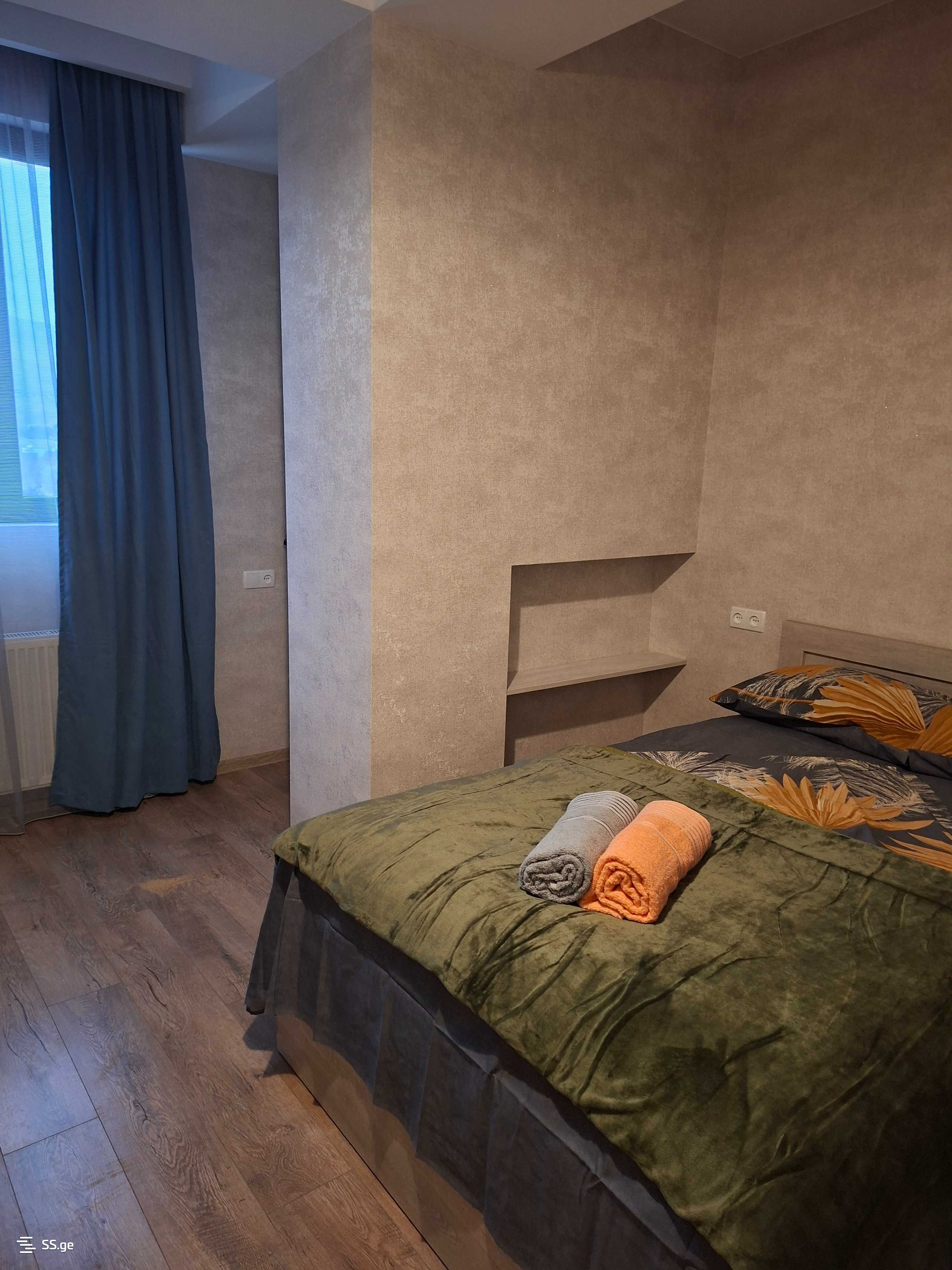 1 Room Flat Daily Rent. Rustavi view 7