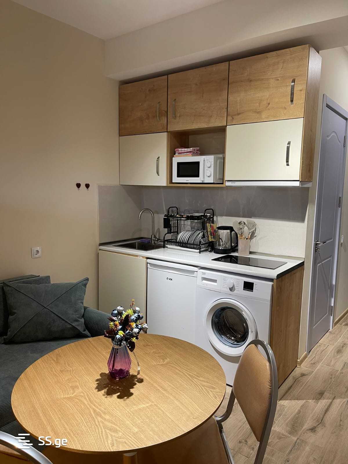 1 Room Flat Daily Rent. Bakuriani view 3