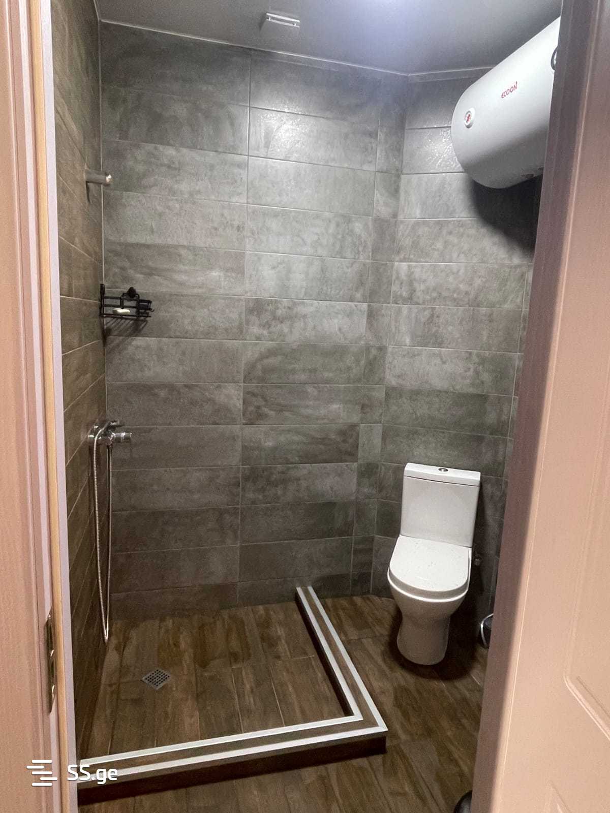 1 Room Flat Daily Rent. Bakuriani view 12