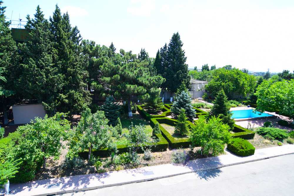 შპს ,,ავერსი-რაციონალი''