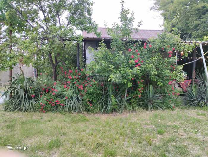 https://static.ss.ge/20251208/19_a0b29074-29e3-4895-a657-4c32a2871939_Thumb.jpg