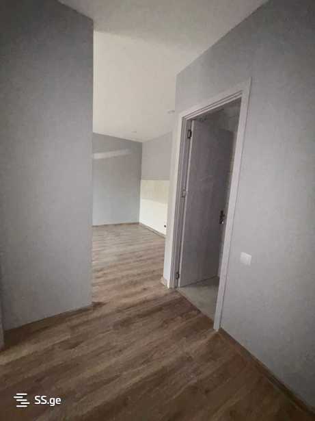 https://static.ss.ge/20251208/8_d7da5764-190c-459b-a0e3-6c75782ad417_Thumb.jpg