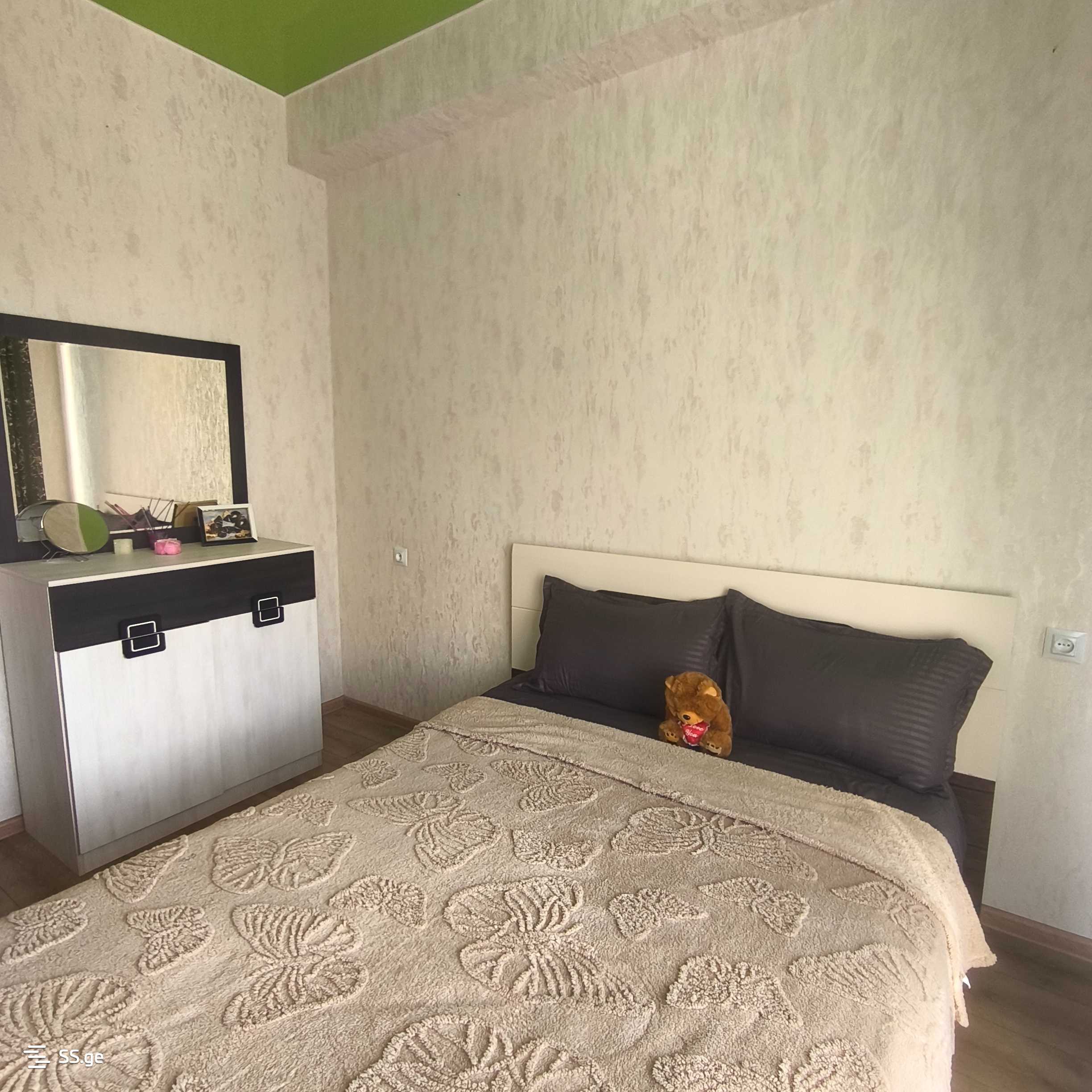 3 Room Flat Daily Rent. Rustavi view 7