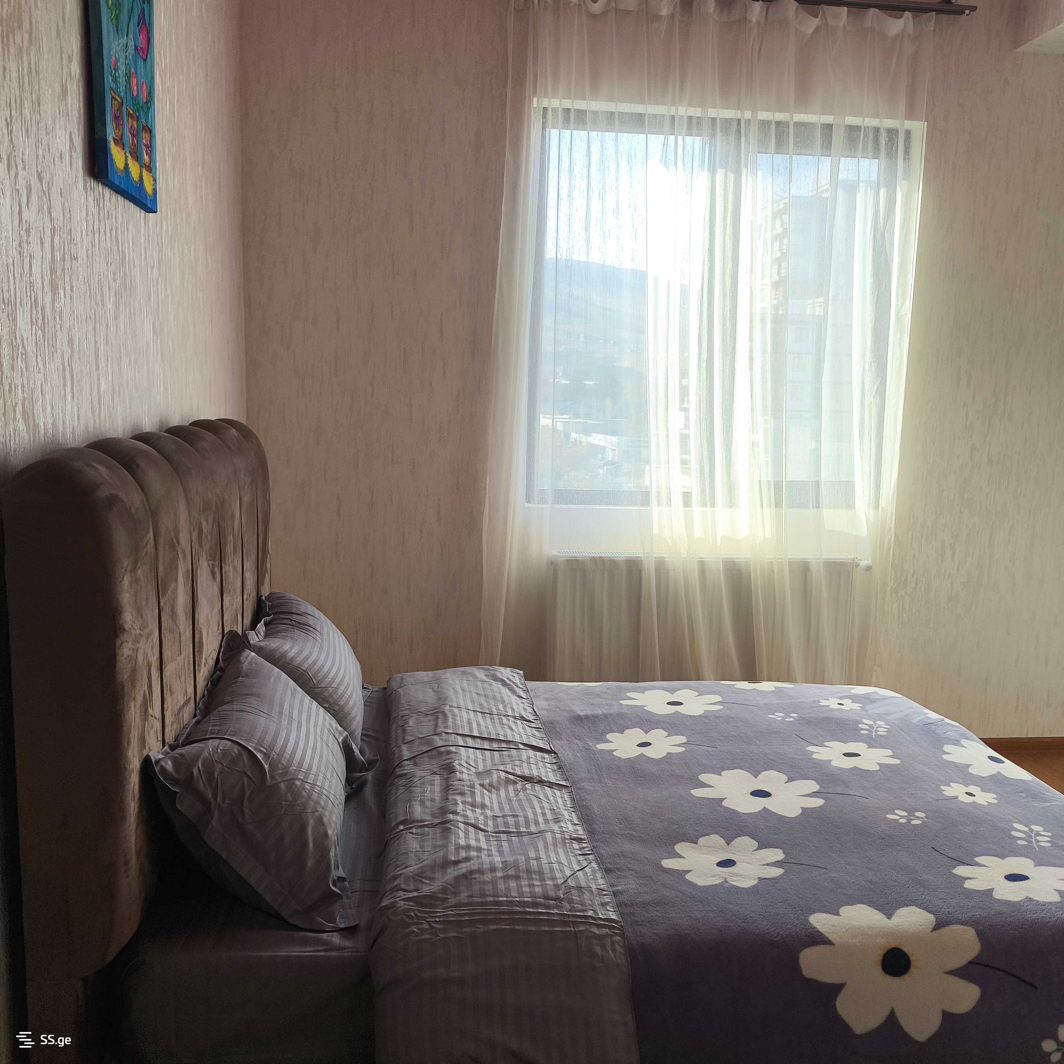 3 Room Flat Daily Rent. Rustavi view 10