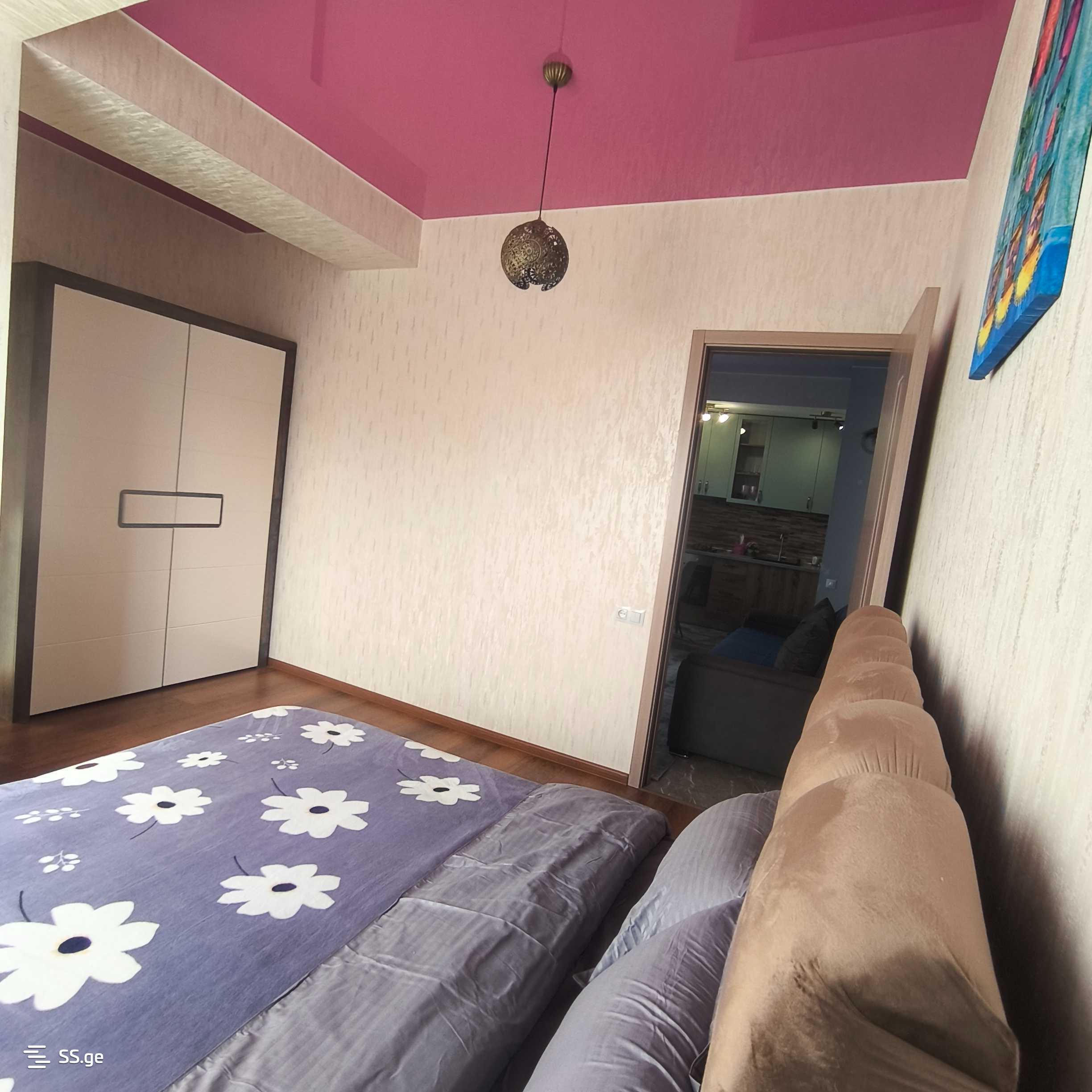 3 Room Flat Daily Rent. Rustavi view 3