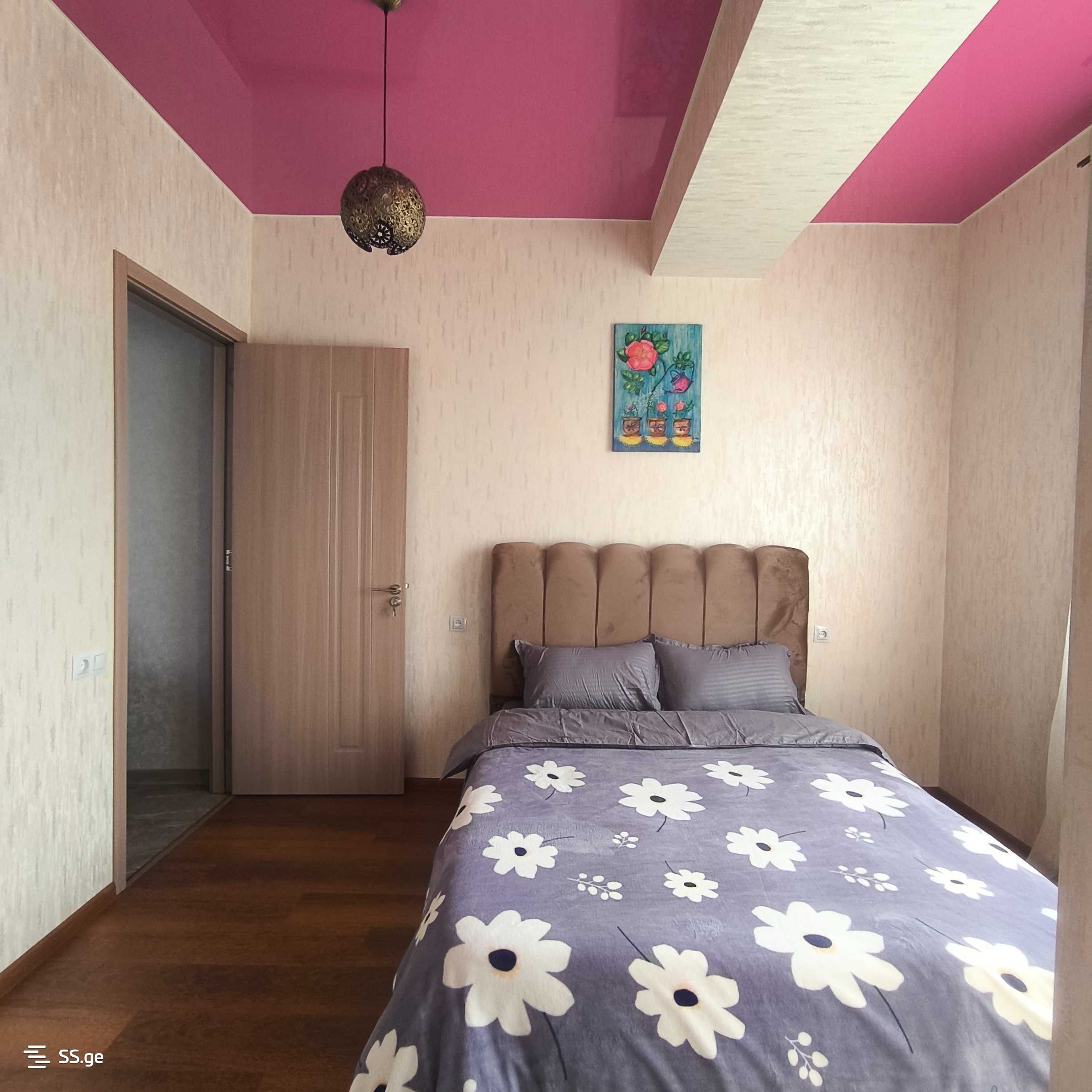 3 Room Flat Daily Rent. Rustavi view 5
