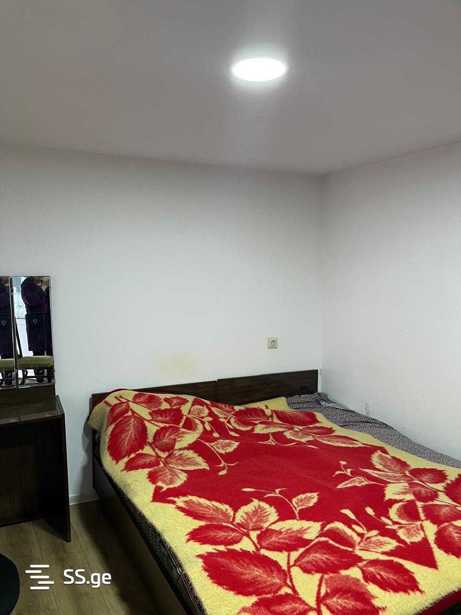 https://static.ss.ge/20251210/10_d3622575-d9bd-4b73-8b0b-1de036660070_Thumb.jpg