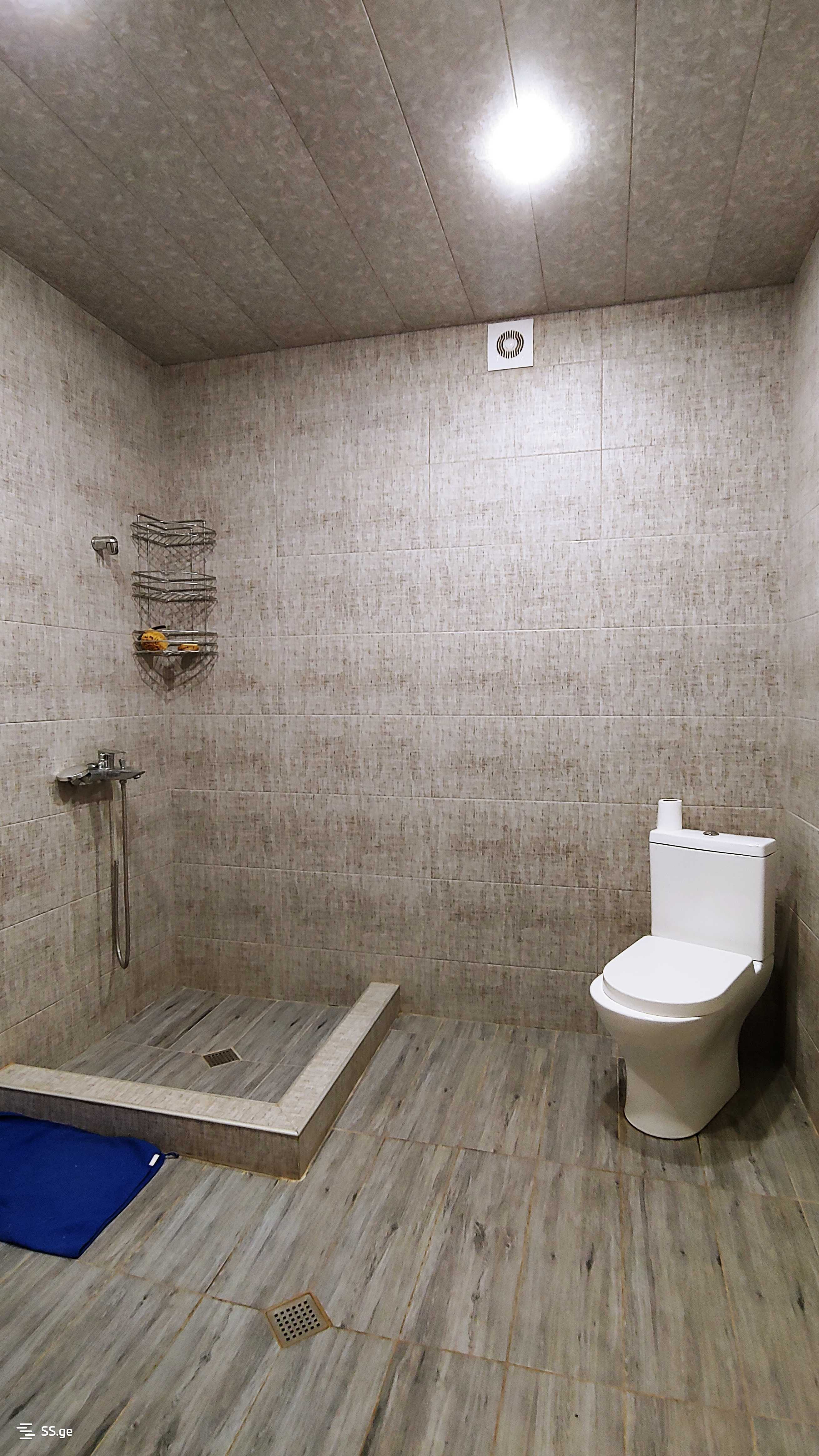 იყიდება 8 ოთახიანი აგარაკი ბულაჩაურში - სურათი #23