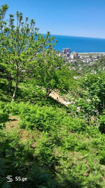 https://static.ss.ge/20251210/17_8acb9e6b-4e80-4718-a1fe-6aeec0c8d91a_Thumb.jpg