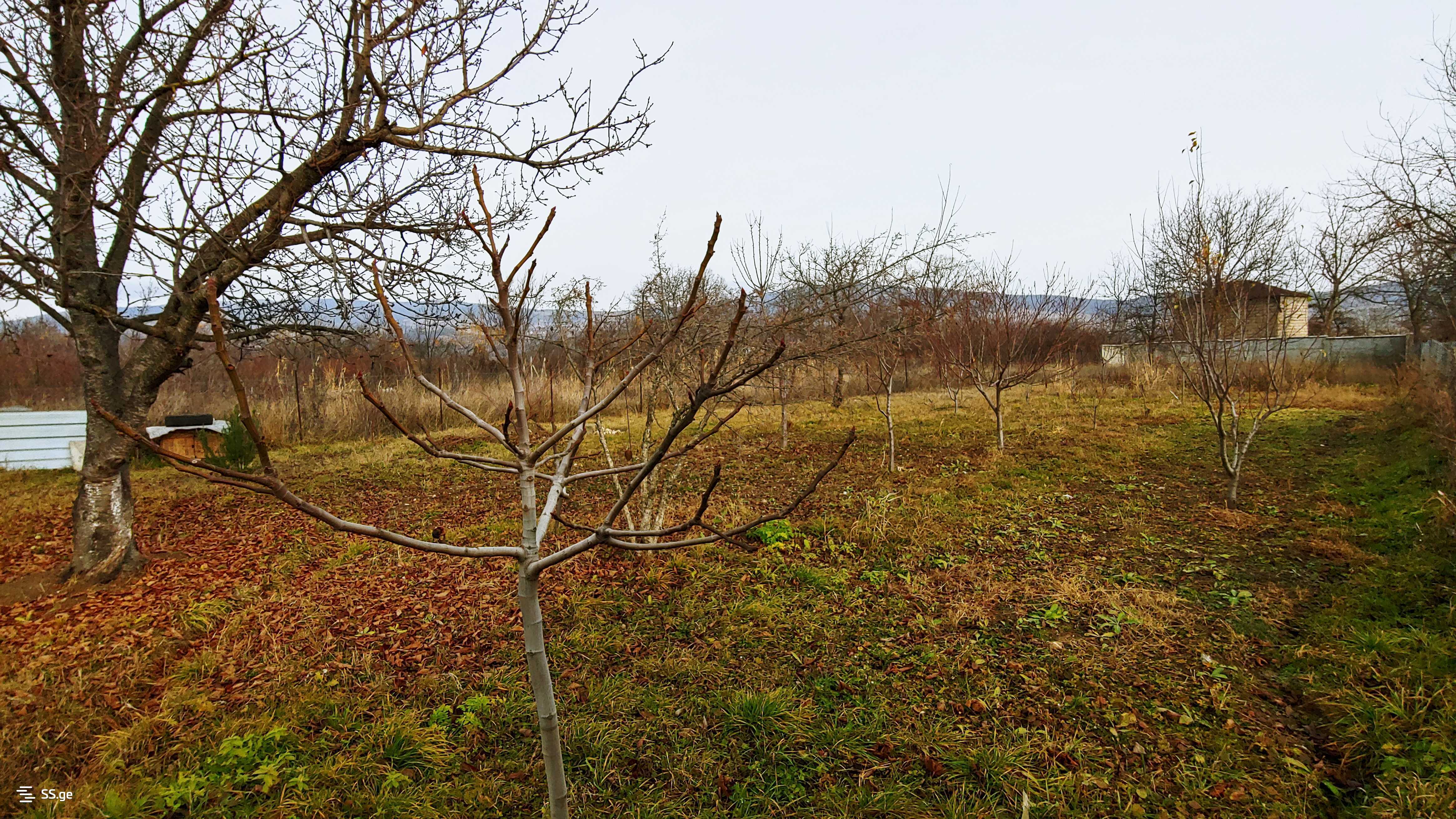 Продается 6-комнатная Дом. Мчадиджвари - картинка #22