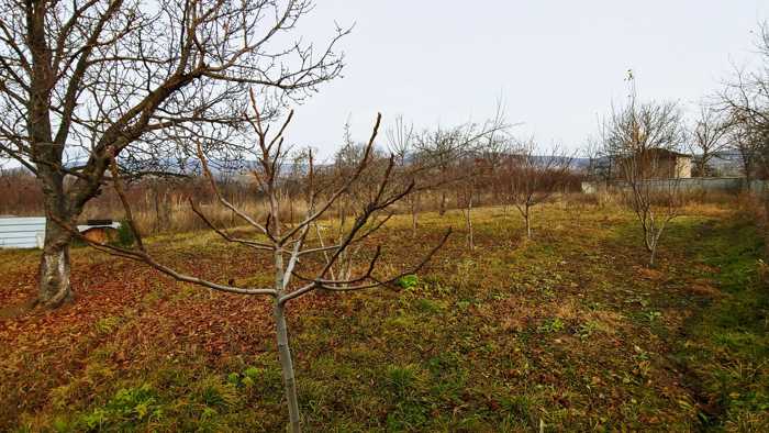იყიდება 6 ოთახიანი კერძო სახლი მჭადიჯვარში - სურათი #22