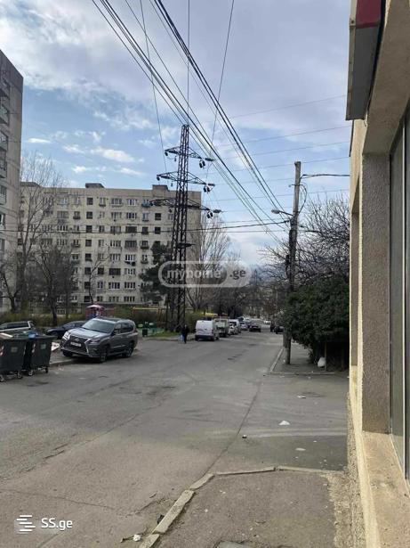 https://static.ss.ge/20251210/19_5ed549e7-5064-495a-ae2f-75f0386f3fc8_Thumb.jpg