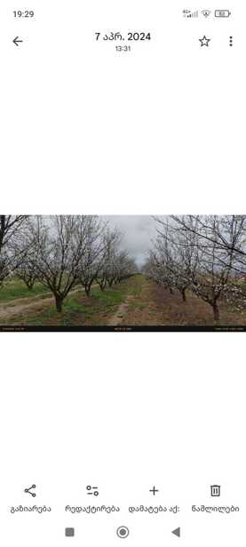 https://static.ss.ge/20251210/19_cb74afaf-bf59-4c7d-8bcf-602529d84420_Thumb.jpg