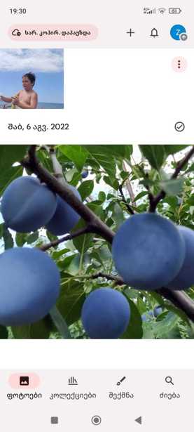 https://static.ss.ge/20251210/5_3d7f707f-5e74-4dff-9ad9-d8b37e622714_Thumb.jpg