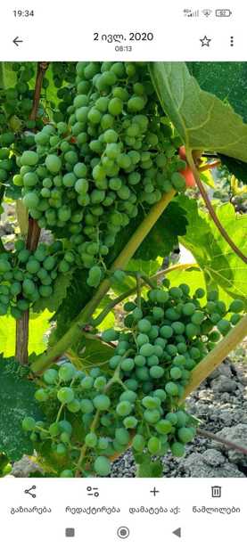 https://static.ss.ge/20251210/5_7386dbb5-2a82-4793-bcec-de0e0951e8b1_Thumb.jpg