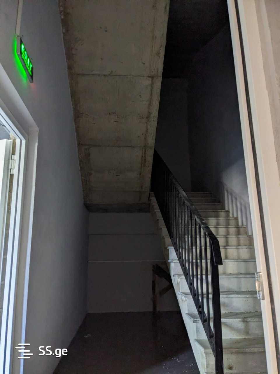 Commercial Space For Rent. Nadzaladevi view 8