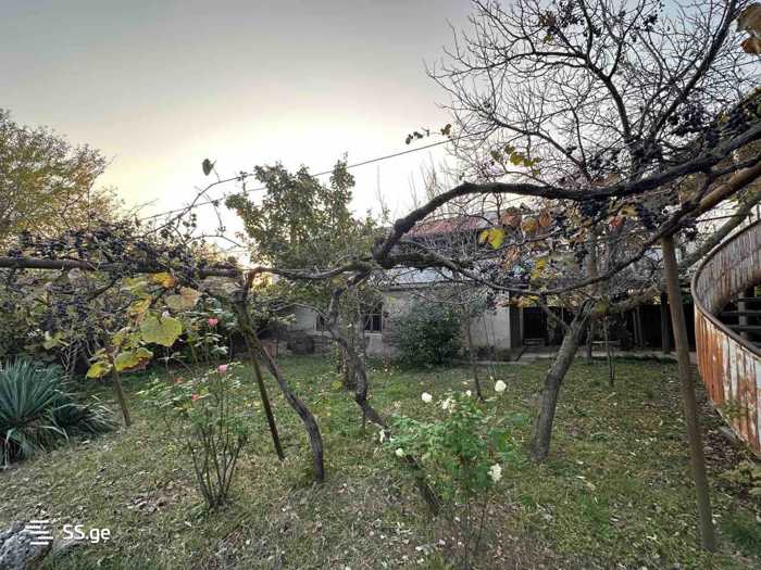 https://static.ss.ge/20251211/12_a74a3914-c8af-411f-a49d-82c4548b87a7_Thumb.jpg