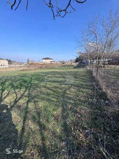 https://static.ss.ge/20251211/4_f107b95c-cf54-421b-8d67-ab8b68dc26af_Thumb.jpg