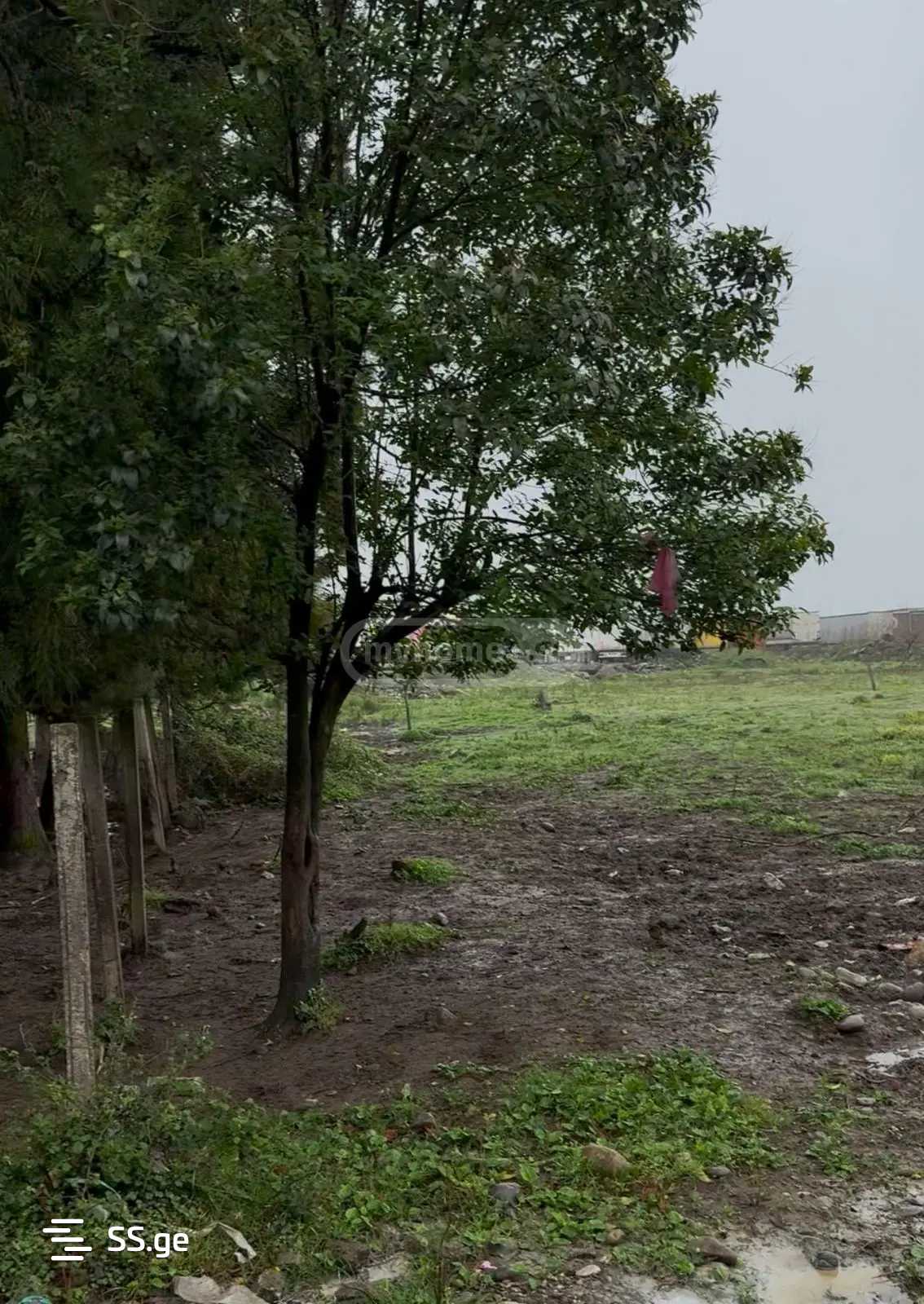 Land For Rent. Batumi view 9