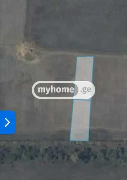 https://static.ss.ge/20251212/14_67d111de-52a3-4e8b-b12d-b07109f7870e_Thumb.jpg