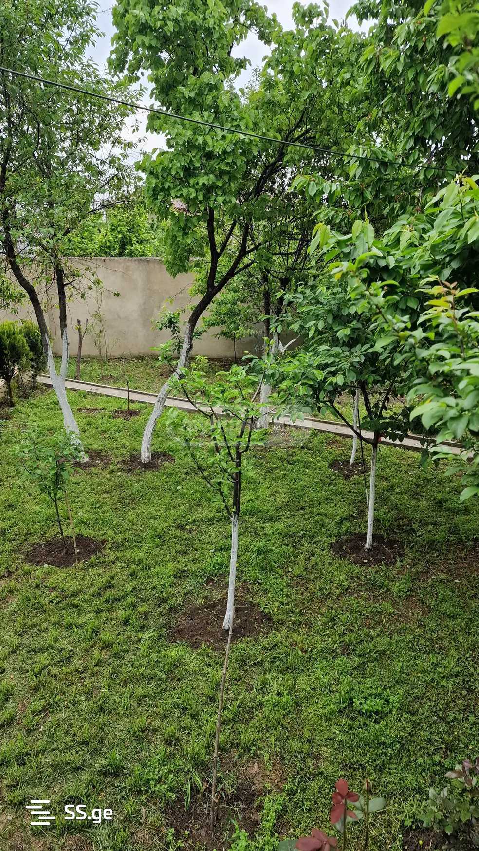 4 Room Private House For Rent. Rustavi view 9