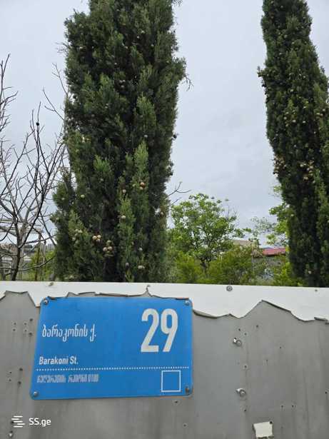 https://static.ss.ge/20251212/1_a242666b-0089-4419-94e4-b19c431c67d9_Thumb.jpg