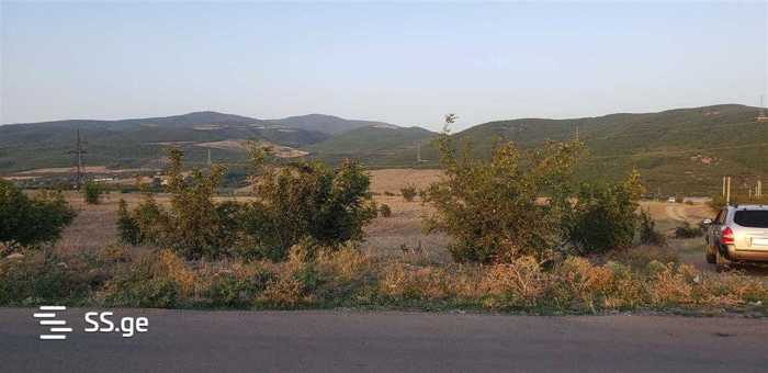 https://static.ss.ge/20251213/1_b6438894-6cb9-4dea-bf29-26717575986c_Thumb.jpg