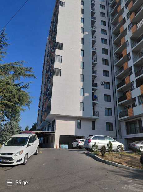 https://static.ss.ge/20251215/14_adb8eff1-d2f3-4ad1-84f4-3338e979ee1a_Thumb.jpg