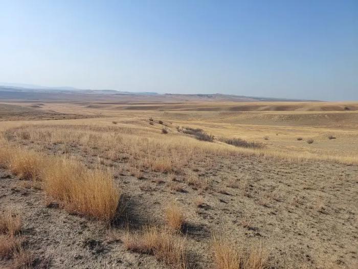 Land For Sale. Zemo Machkhaani