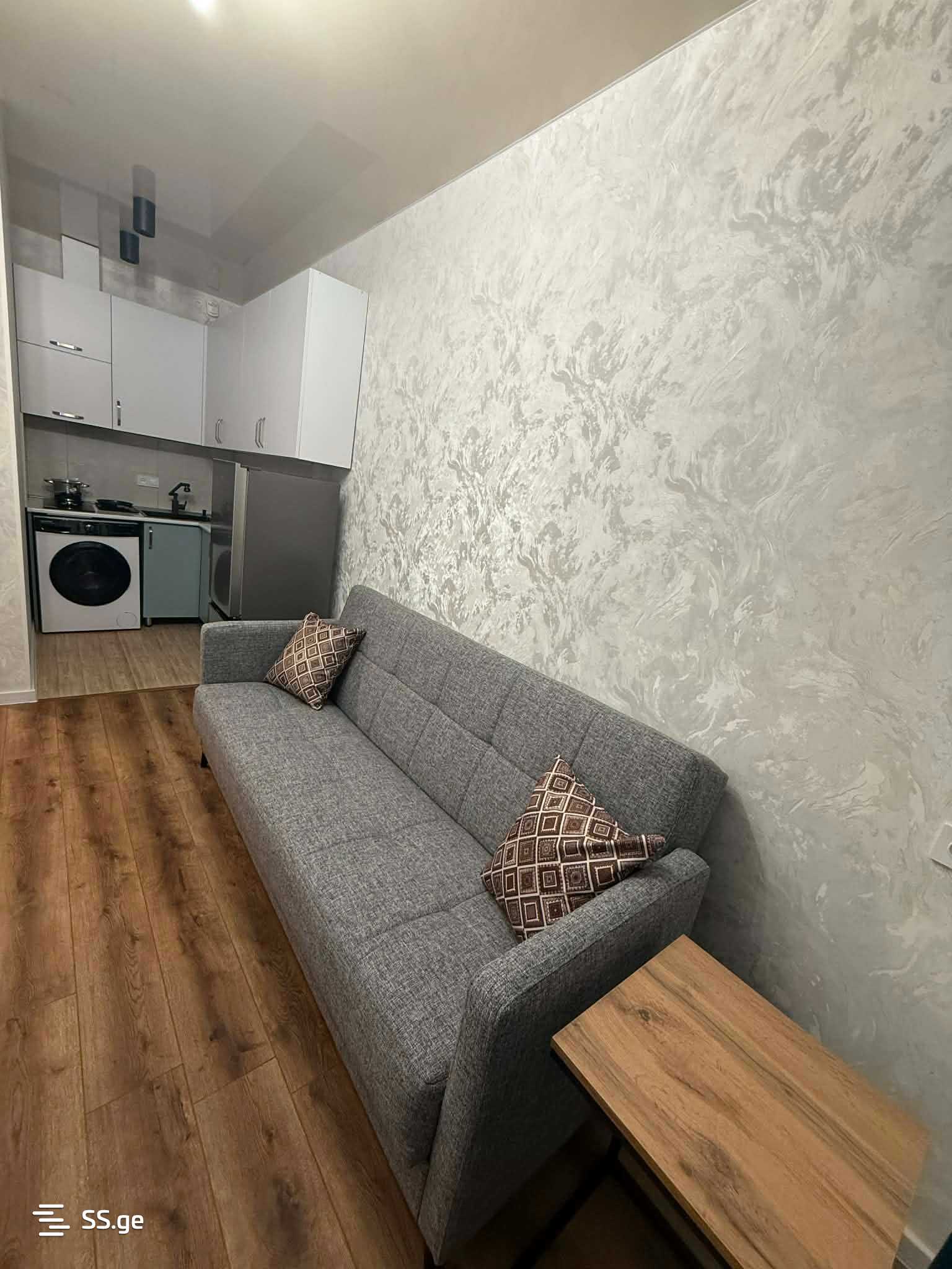 2 Room Flat Daily Rent. Rustavi view 3