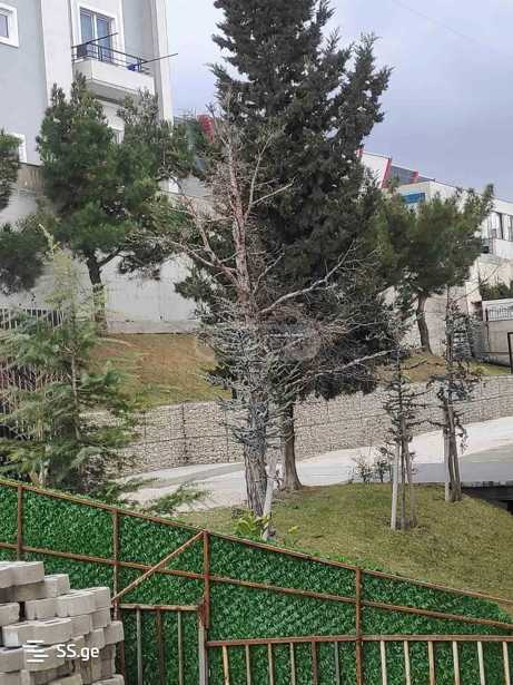 https://static.ss.ge/20251216/10_dc21d87c-af48-46a4-9427-7645f484c9cd_Thumb.jpg