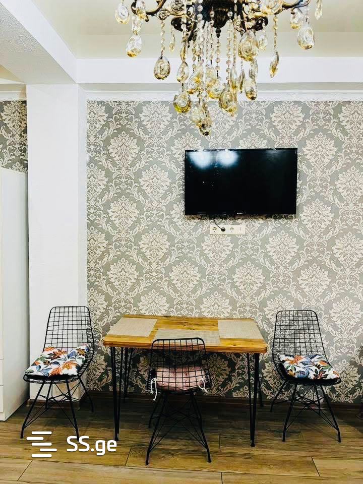 1 Room Flat Daily Rent. Zugdidi view 3