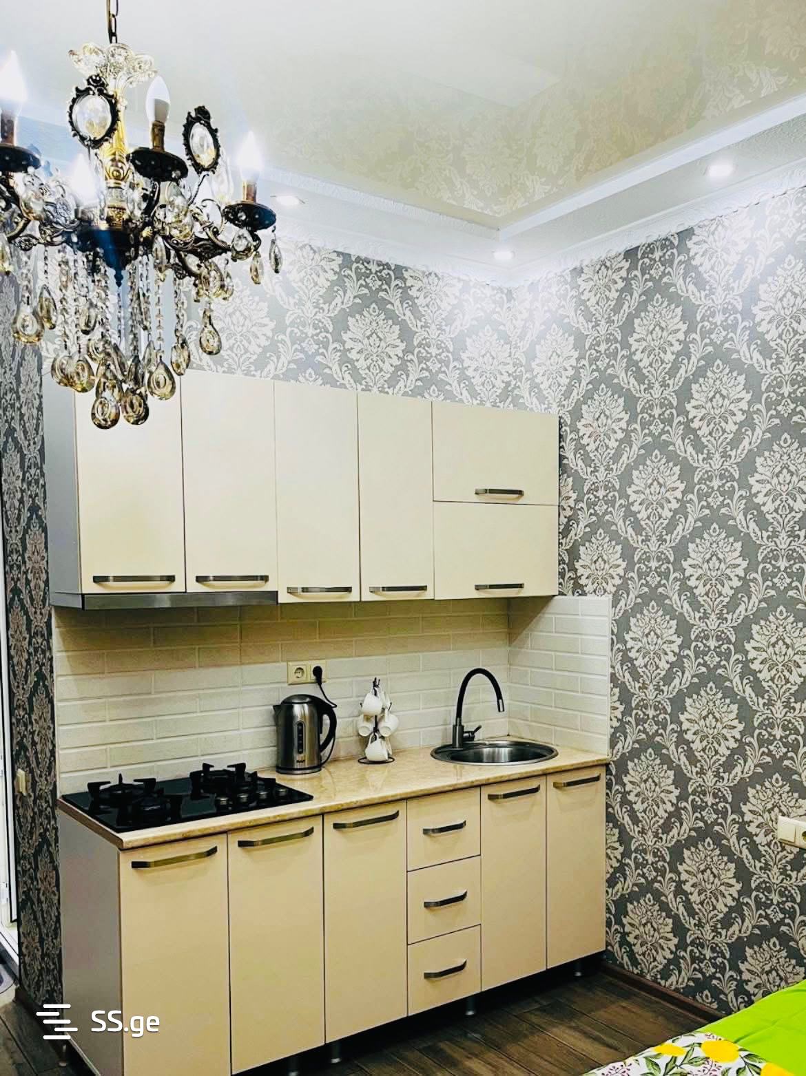 1 Room Flat Daily Rent. Zugdidi view 4