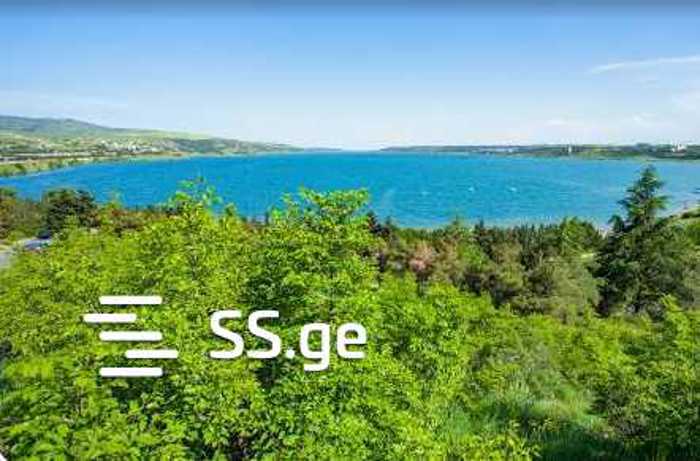 https://static.ss.ge/20251216/6_720b7aaa-6171-4282-b5cc-22d303f8ee5e_Thumb.jpg