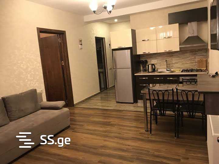 2 Room Flat Daily Rent. Bakuriani, 4 of 4