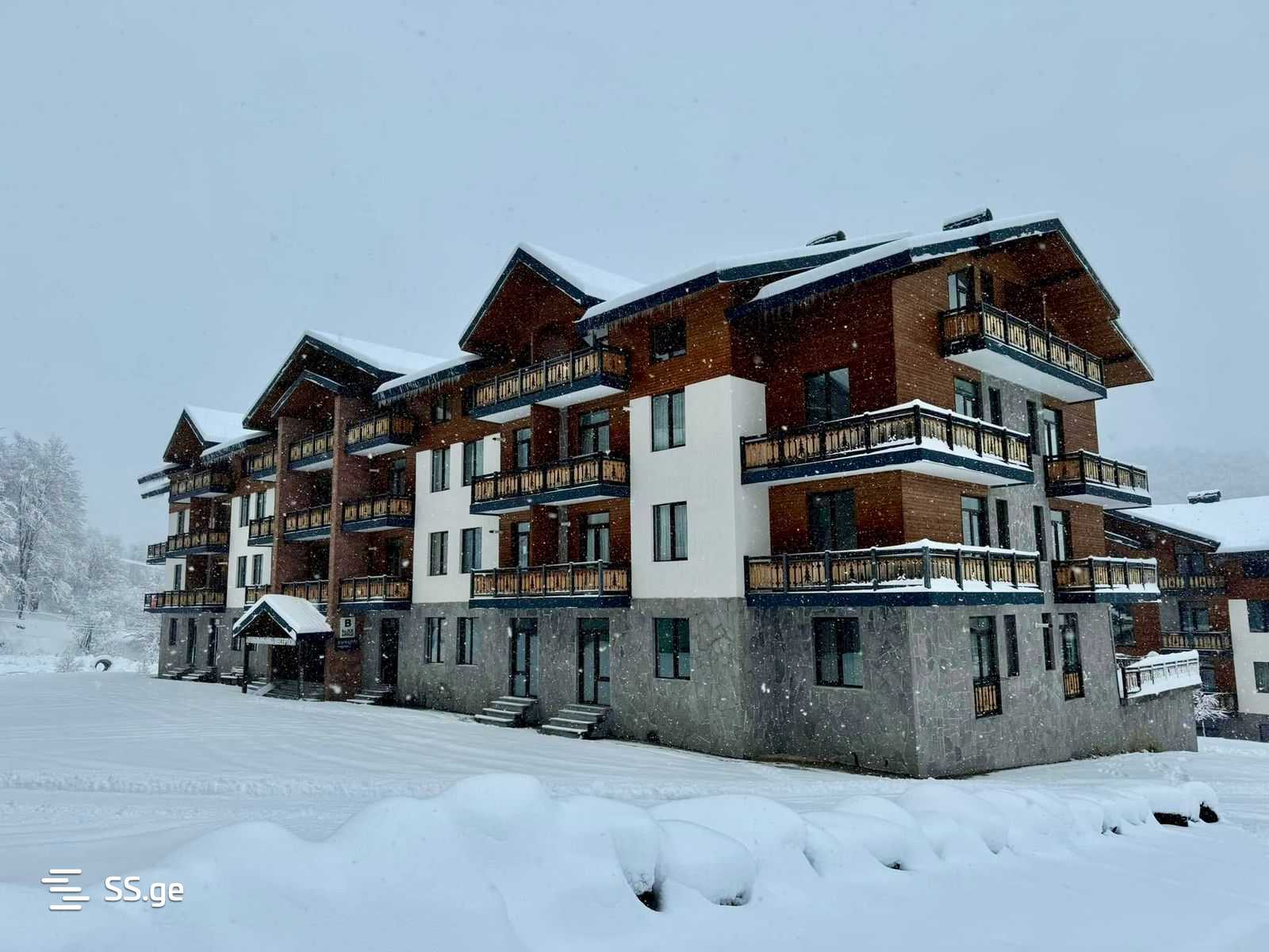 2 Room Flat Daily Rent. Bakuriani, 1 of 11
