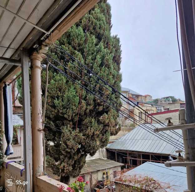 https://static.ss.ge/20251218/14_5e1456ee-f58c-4ce6-ab06-21b713bf8f82_Thumb.jpg