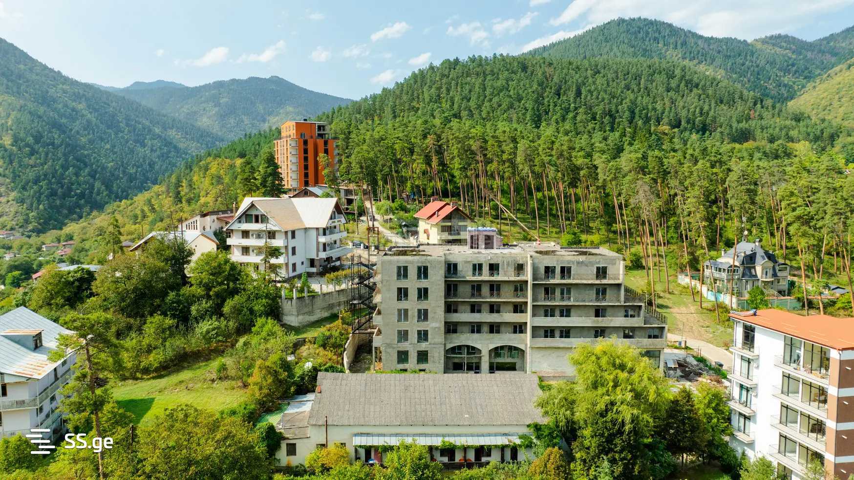 Hotel For Sale. Borjomi view 13