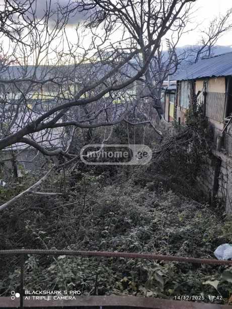 https://static.ss.ge/20251218/8_31302365-22fe-46c3-a771-7e5a9838a596_Thumb.jpg