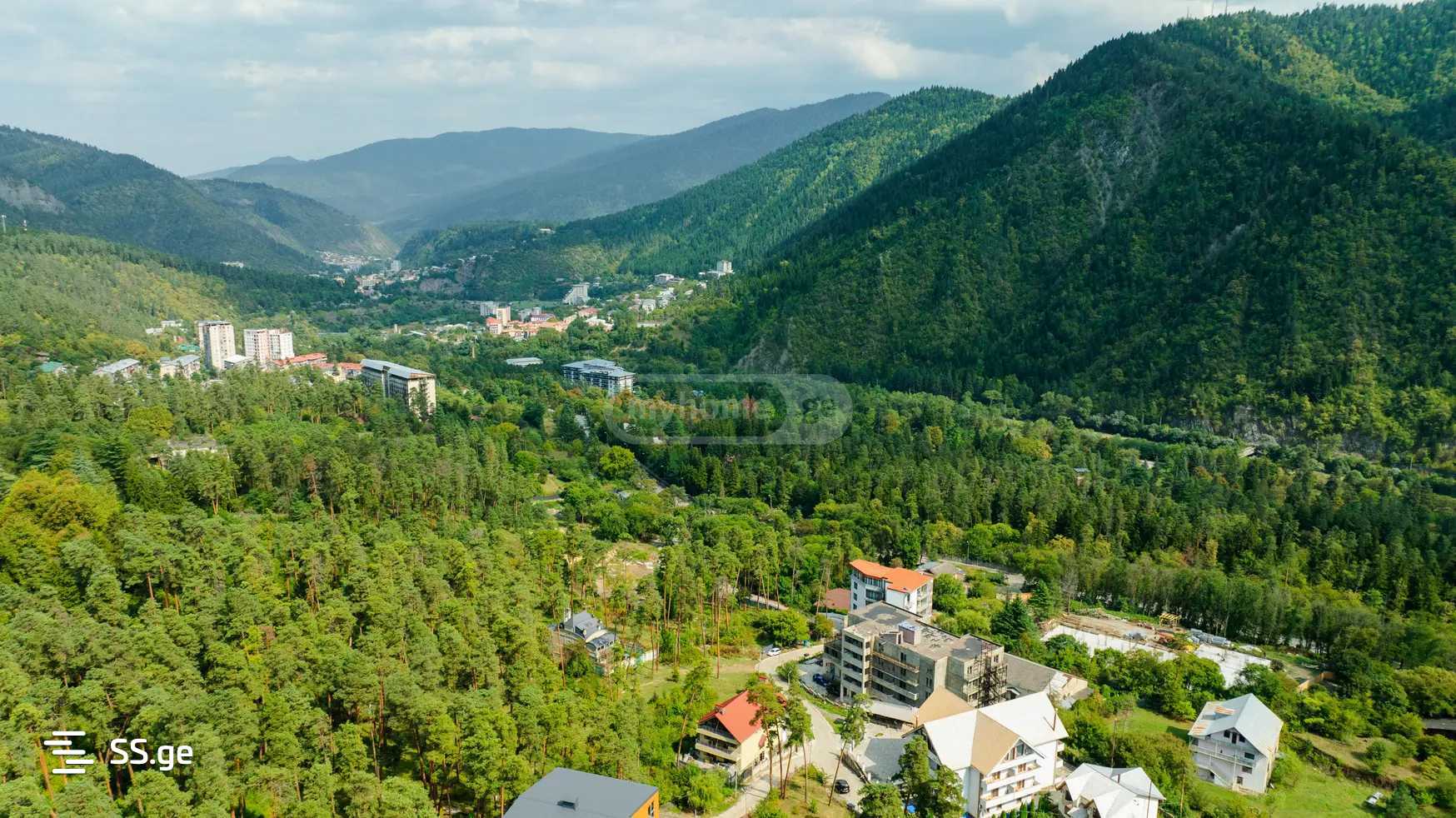 Hotel For Sale. Borjomi view 9